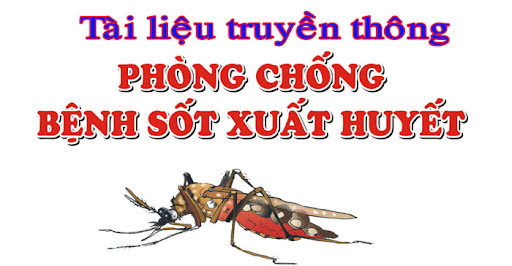 Bài tuyên truyền phòng chống bệnh sốt xuất huyết